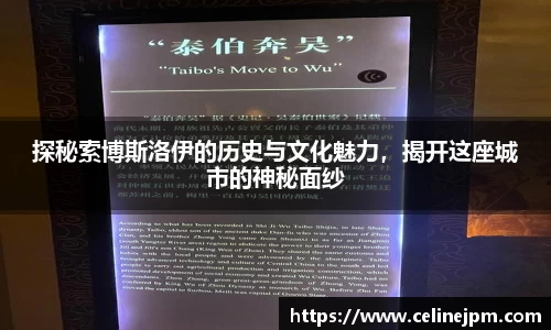 探秘索博斯洛伊的历史与文化魅力，揭开这座城市的神秘面纱